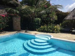 Salama Paradise |  -  - 
