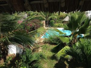 Salama Paradise |  -  - 