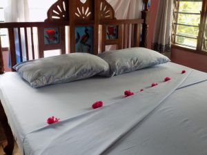 Salama Paradise |  -  - 