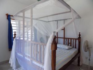 Salama Paradise |  -  - 