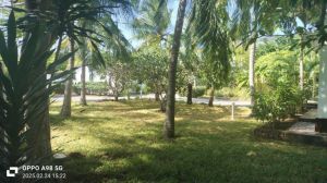 Villa Sandra |  -  - 