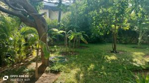 Villa Birbe House |  -  - 