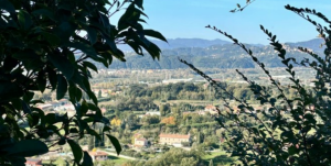 Villa nel Verde Sarzana |  -  - 