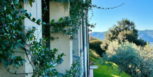 Villa nel Verde Sarzana |  -  - 