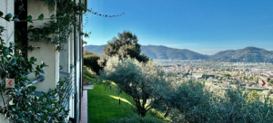 Villa nel Verde Sarzana |  -  - 