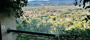 Villa nel Verde Sarzana |  -  - 