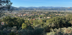 Villa nel Verde Sarzana |  -  - 