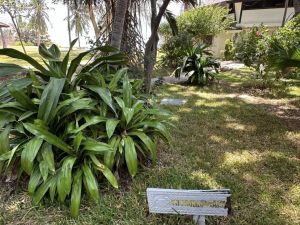 Villa kichunahousebeach |  -  - 