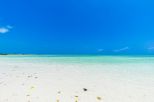 Casa Beach Blue Lagoon  | Watamu - Appartementen - Kenya & Zanzibar
