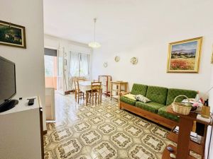 La Casa delle Mimose |  -  - 