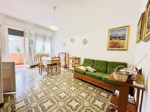 La Casa delle Mimose |  -  - 