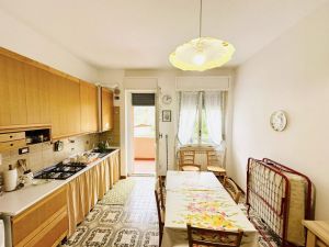 La Casa delle Mimose |  -  - 