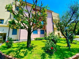 La Casa delle Mimose |  -  - 