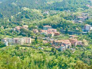 La Casa delle Mimose |  -  - 