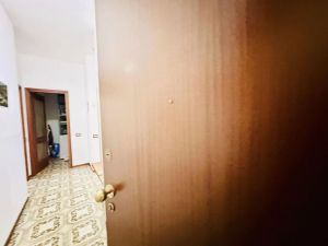 La Casa delle Mimose |  -  - 