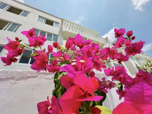 Appartamento Re di Mare |  -  - 