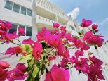 Wohnung il Principe del Meer | Watamu - Apartments - Kenya & Zanzibar