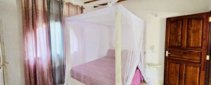 Villa Nala |  -  - 