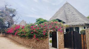 Villa Nala |  -  - 