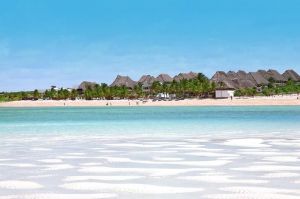 Casa Take Me to the Beach |  -  - 
