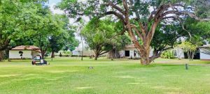 Eco Lodge Mwembe Resort |  -  - 