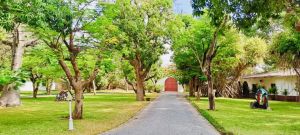 Eco Lodge Mwembe Resort |  -  - 