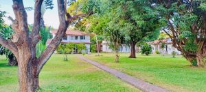Eco Lodge Mwembe Resort |  -  - 