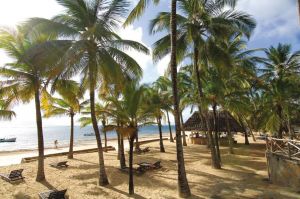 Eco Lodge Mwembe Resort |  -  - 