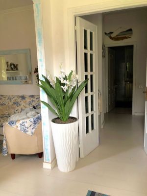 Villa Sole Apuane |  -  - 