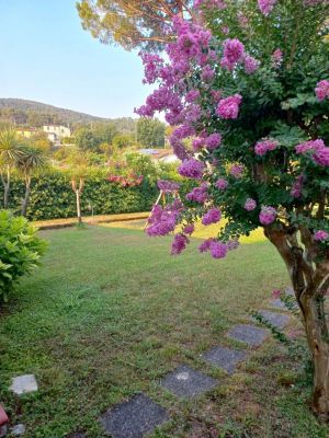 Villa Sole Apuane |  -  - 