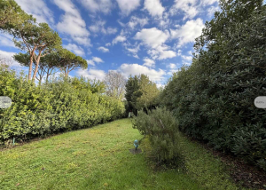 Villa Sole Apuane |  -  - 