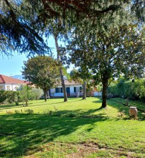 Villa Sole Apuane |  -  - 