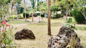 Appartamento Suite |  -  - 