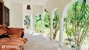 Appartamento Suite |  -  - 