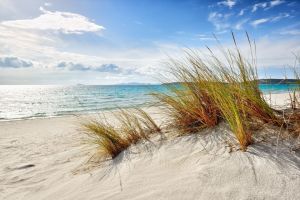 Tenuta Teulada |  -  - 