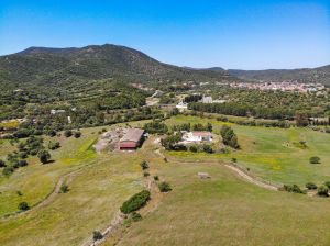 Tenuta Teulada |  -  - 