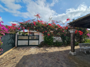Casa dei Fiori |  -  - 