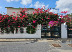 Casa dei Fiori |  -  - 