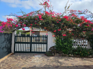 Casa dei Fiori |  -  - 