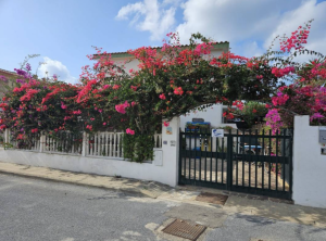 Casa dei Fiori |  -  - 