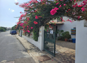 Casa dei Fiori |  -  - 