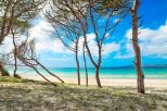 Villa il Tramonto di Alghero | Alghero & Stintino - Exklusive Häuser & Villen - Nord Sardegna