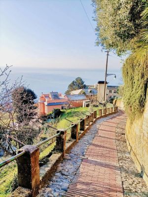 La Casa delle Fate |  -  - 