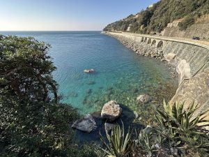 La Casa delle Fate |  -  - 