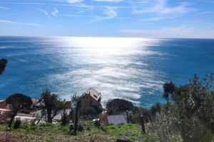 La Casa delle Fate |  -  - 