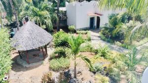 Villino Delfino |  -  - 