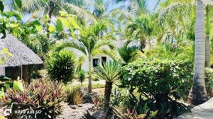 Villino Delfino |  -  - 