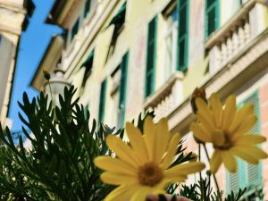 Casa Luce |  -  - 