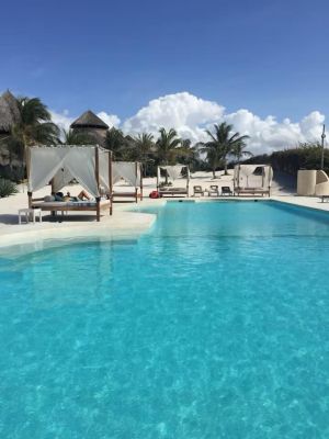 The House on the Sand |  -  - 