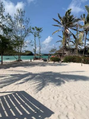 The House on the Sand |  -  - 